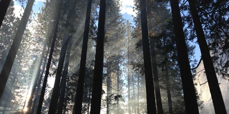 全球REACH法规最新动态解读：化工企业合规应对与市场准入策略指南