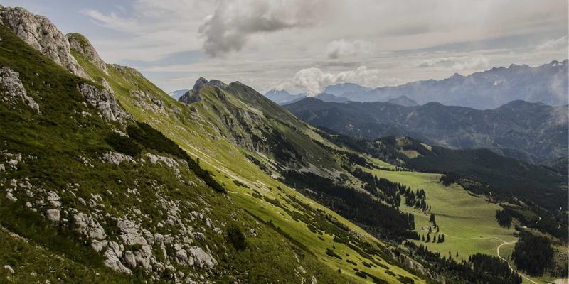 生物基化工原料的兴起：颠覆传统石油基产品的绿色革命与市场机遇